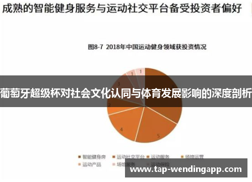 葡萄牙超级杯对社会文化认同与体育发展影响的深度剖析