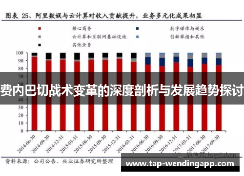 费内巴切战术变革的深度剖析与发展趋势探讨
