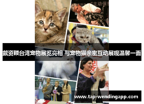 戴资颖台湾宠物展览亮相 与宠物猫亲密互动展现温馨一面