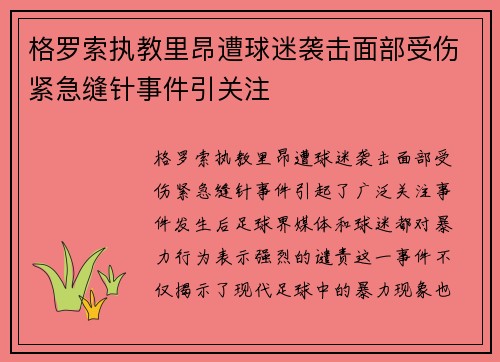 格罗索执教里昂遭球迷袭击面部受伤紧急缝针事件引关注